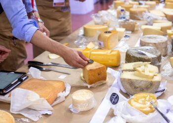 Estos son los quesos valencianos que han obtenido premio en los World Cheese Awards 2024