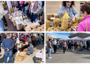 La Feria de la Nuez y la Almendra de la Cooperativa de Viver vuelve este próximo domingo