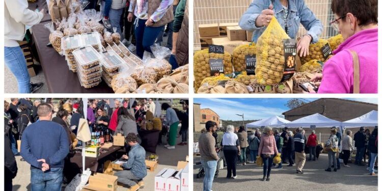 La Feria de la Nuez y la Almendra de la Cooperativa de Viver vuelve este próximo domingo