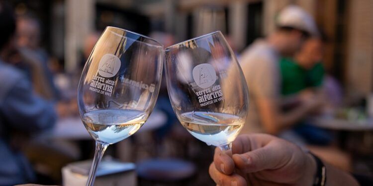 Las 16 bodegas de Terres dels Alforins aterrizan en Valencia este sábado con una feria del vino