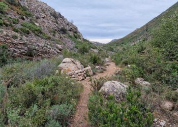 Así es el sendero de Gandia que discurre entre barrancos y conduce hasta un arco de roca natural