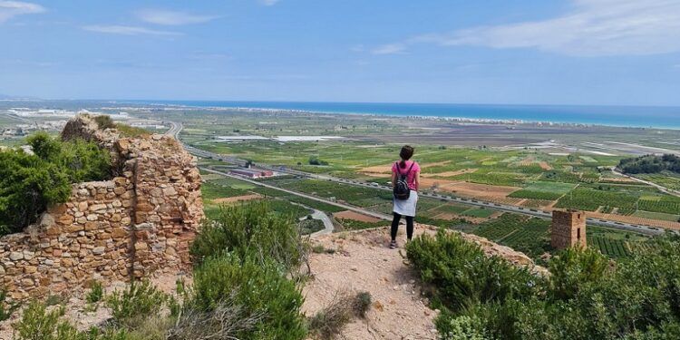 Visitas guiadas gratuitas al entorno del Castell y la Torre Bivalcadim de Almenara