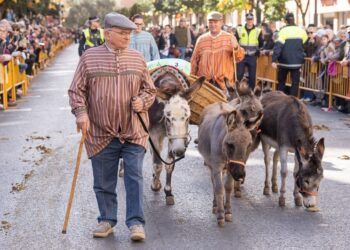 El porrat de San Antonio Abad y la bendición de animales regresan a la calle Sagunto de Valencia