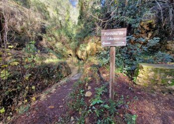 El Pinaret de l´Avenc, un bello paraje en la provincia de Valencia que cuenta con una sencilla ruta