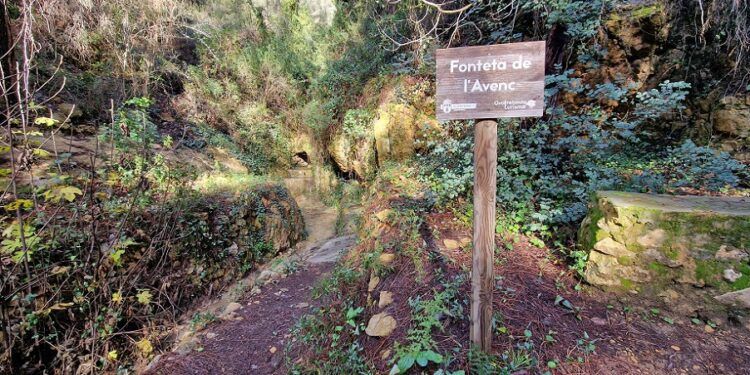 El Pinaret de l´Avenc, un bello paraje en la provincia de Valencia que cuenta con una sencilla ruta