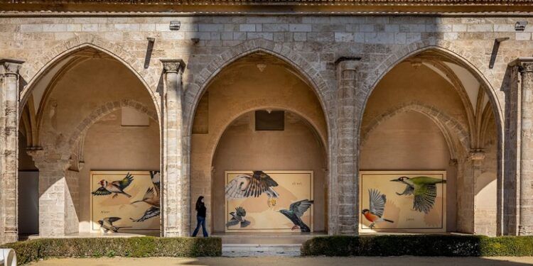 El claustro gótico del Centre del Carme de Valencia revive con una bella intervención de murales