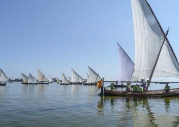 La Vela Llatina vuelve a la Albufera de Valencia con un completo calendario de exhibiciones