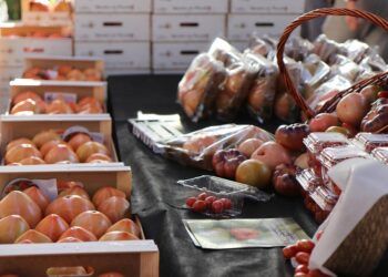 Llega la XII edición de la Feria Gastronómica del Tomate de El Perelló con numerosas actividades