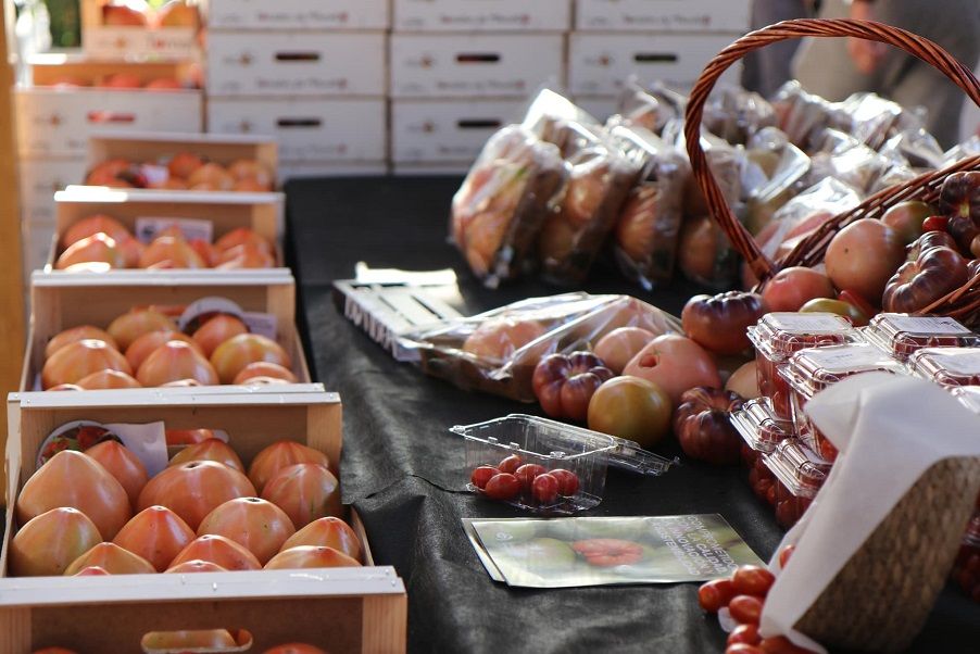 Llega la XII edición de la Feria Gastronómica del Tomate de El Perelló con numerosas actividades