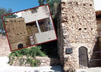 Cata vertical de vinos en Viver con almuerzo mediterráneo y visita a un antiguo cubo lagar