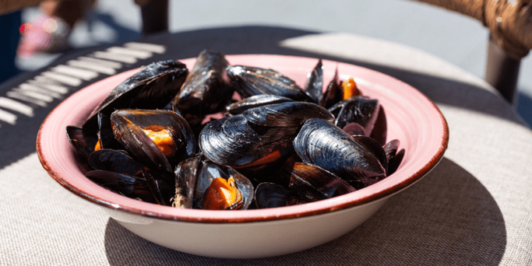 Paseo en catamarán para visitar los viveros de Clóchina de Valencia con degustación incluida