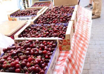 Caudiel celebra en unos días la Feria de la Cereza 2025 con mercado, gastronomía y actividades