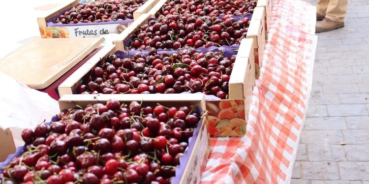 Caudiel celebra en unos días la Feria de la Cereza 2025 con mercado, gastronomía y actividades