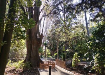 Jornada de puertas abiertas en el Jardín Botánico de Valencia para celebrar el DIMS 2025