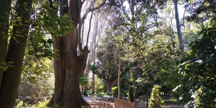 Jornada de puertas abiertas en el Jardín Botánico de Valencia para celebrar el DIMS 2025