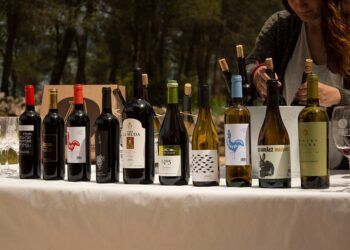 Moixent se prepara para ser la anfitriona de la gran Mostra de Vins de Terres dels Alforins 2025
