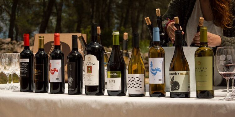 Moixent se prepara para ser la anfitriona de la gran Mostra de Vins de Terres dels Alforins 2025