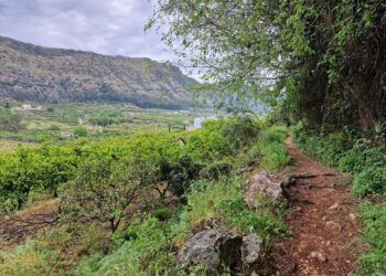 La Senda de los Elefantes y el Pas del Llop, una bella ruta por Valletes de Bru y Valletes del Gallo