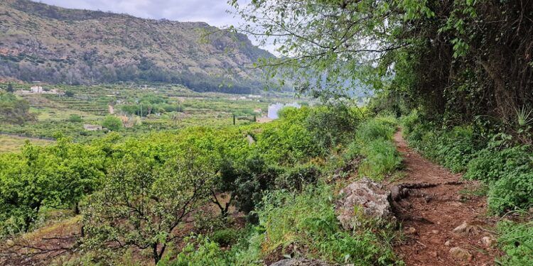 La Senda de los Elefantes y el Pas del Llop, una bella ruta por Valletes de Bru y Valletes del Gallo