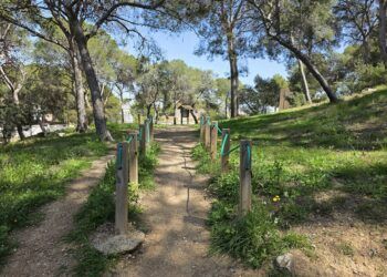 La Senda del Vedat de Torrent, un bello y sencillo recorrido a un paso de la ciudad de Valencia
