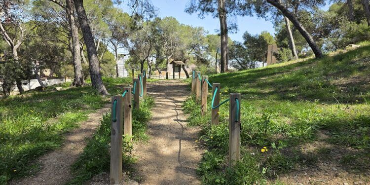 La Senda del Vedat de Torrent, un bello y sencillo recorrido a un paso de la ciudad de Valencia