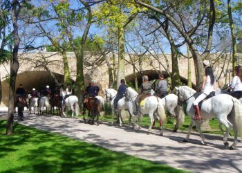 Valencia Caballo reunirá a decenas de personas para disfrutar de un paseo a caballo por la cuidad