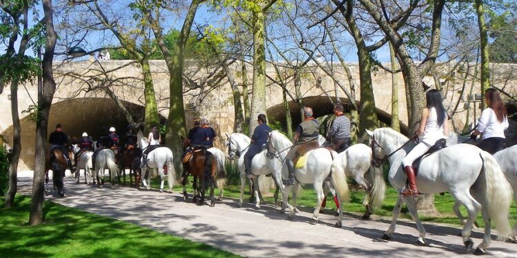 Valencia Caballo reunirá a decenas de personas para disfrutar de un paseo a caballo por la cuidad