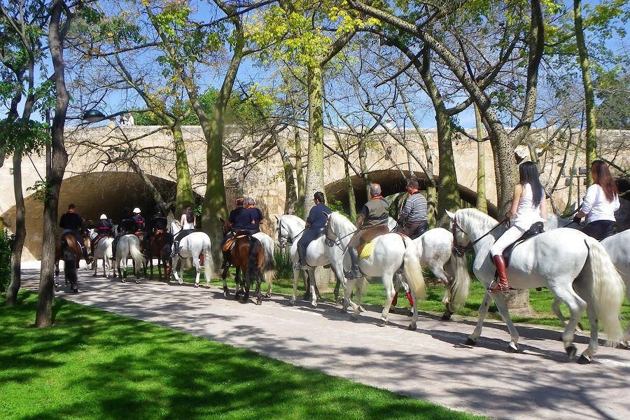 Valencia Caballo reunirá a decenas de personas para disfrutar de un paseo a caballo por la cuidad