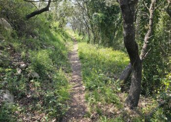 El Barranc dels Conills y el Barranc de l´Aigua o dels Cossis, una hermosa ruta en Quatretonda
