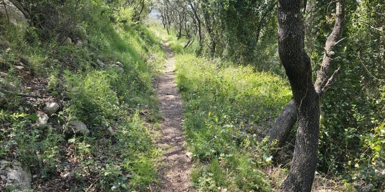 El Barranc dels Conills y el Barranc de l´Aigua o dels Cossis, una hermosa ruta en Quatretonda