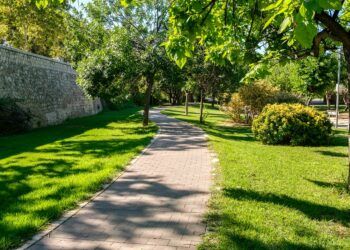 Visitas guiadas gratuitas por el Jardín del Turia de Valencia para conocer su patrimonio natural