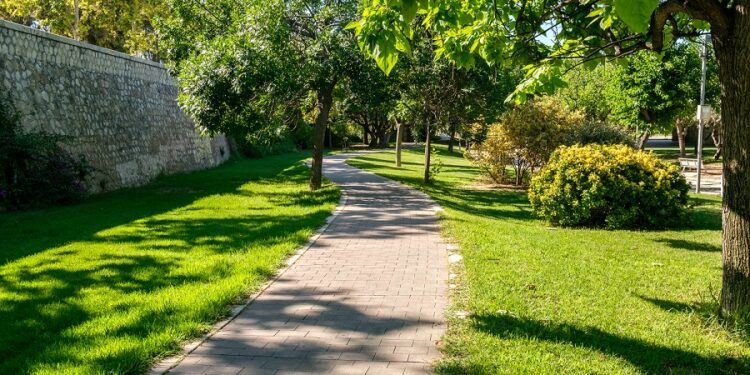 Visitas guiadas gratuitas por el Jardín del Turia de Valencia para conocer su patrimonio natural