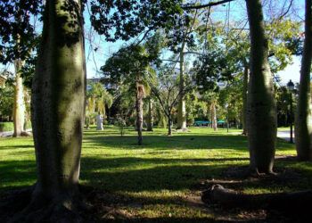 Valencia celebra el Día de la Familia con una gran fiesta gratuita en los Jardines de Viveros