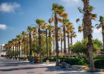 Valencia lanza una campaña de bonos comercio en la Malvarrosa para reactivar el barrio marítimo