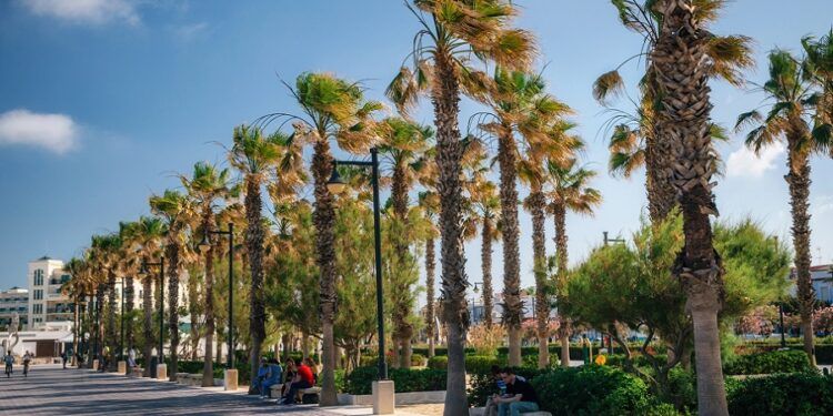 Valencia lanza una campaña de bonos comercio en la Malvarrosa para reactivar el barrio marítimo