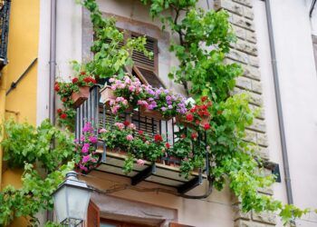 La ciudad de Valencia busca premiar el balcón florido más bonito del Marítimo