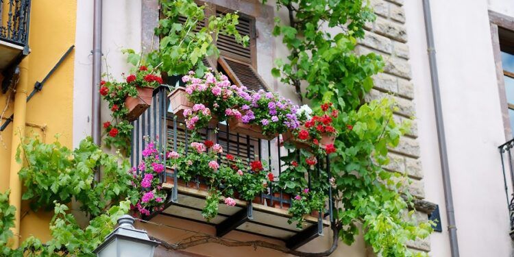 La ciudad de Valencia busca premiar el balcón florido más bonito del Marítimo