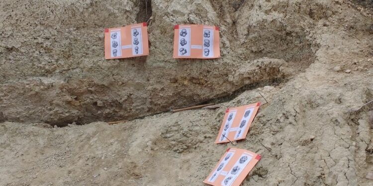 ¿Sabías que un pueblo de Alicante es testigo del meteorito que extinguió a los dinosaurios?