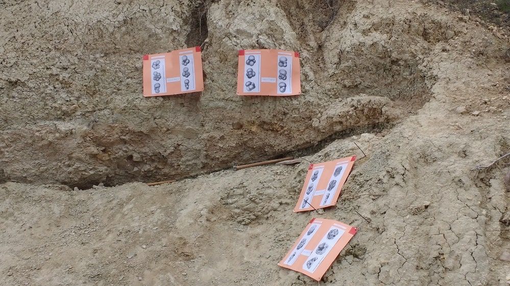 ¿Sabías que un pueblo de Alicante es testigo del meteorito que extinguió a los dinosaurios?