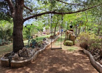 El Sueño, el precioso jardín botánico de Ondara que alberga más de 3000 especies de plantas