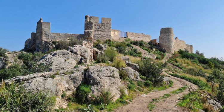Visitas guiadas gratuitas este verano para descubrir el patrimonio arqueológico de Gandia