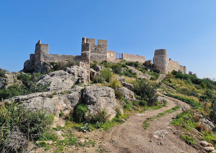 Visitas guiadas gratuitas este verano para descubrir el patrimonio arqueológico de Gandia