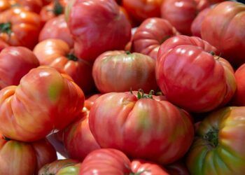 El Mercado de Colón dará la bienvenida al verano con una fiesta dedicada al tomate valenciano