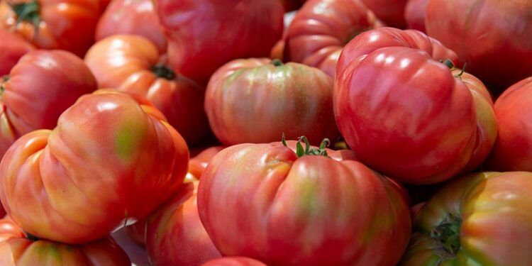 El Mercado de Colón dará la bienvenida al verano con una fiesta dedicada al tomate valenciano