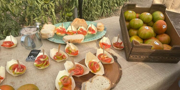 Mutxamel acoge la VII Feria del Tomate con un gran programa para promover su producto estrella
