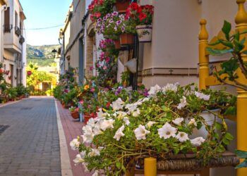 La escaldà de la pansa vuelve al bello pueblo alicantino de Llíber en una nueva Fira del Llaurador