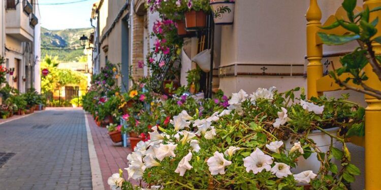 La escaldà de la pansa vuelve al bello pueblo alicantino de Llíber en una nueva Fira del Llaurador