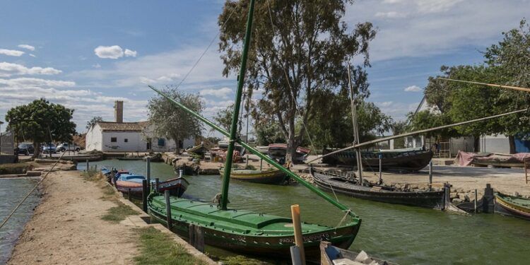 Descubriendo Silla, un itinerario por los encantos de su casco antiguo y el término municipal
