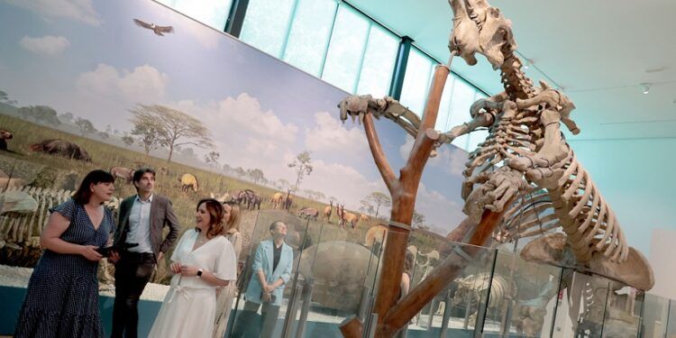 El Paleontològic de Valencia reabre apostando por la realidad aumentada, películas 3D y dioramas