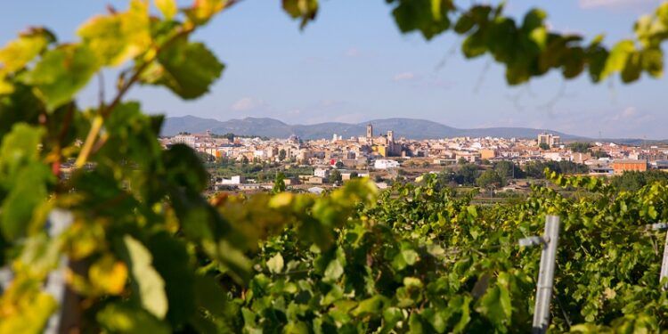 ¿Sabías que Requena tiene el término municipal más grande de la provincia de Valencia?